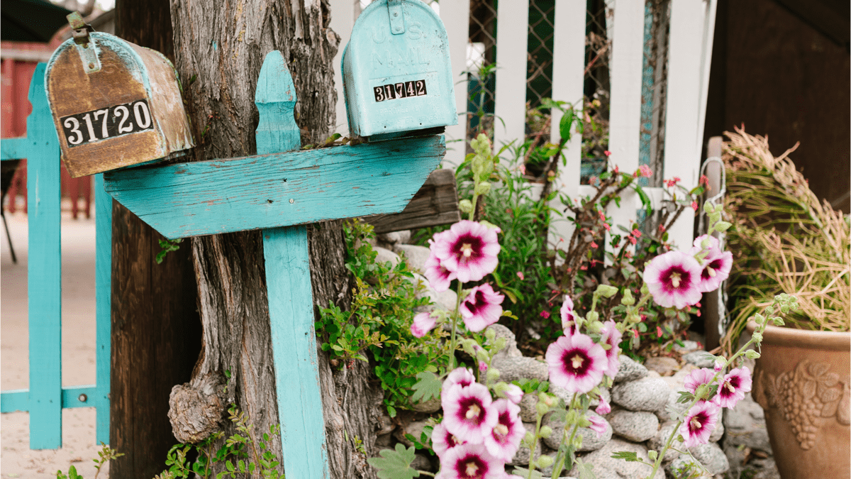 mailbox-flowers