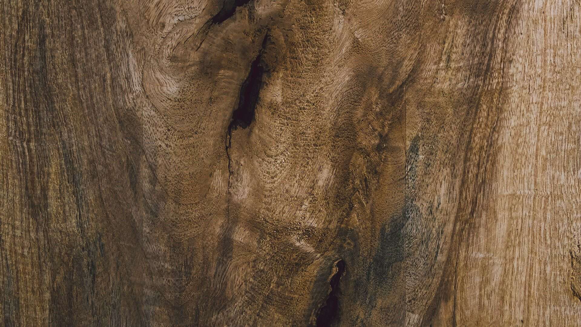 mold-wood