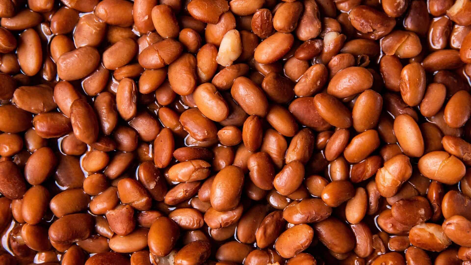  pinto-beans